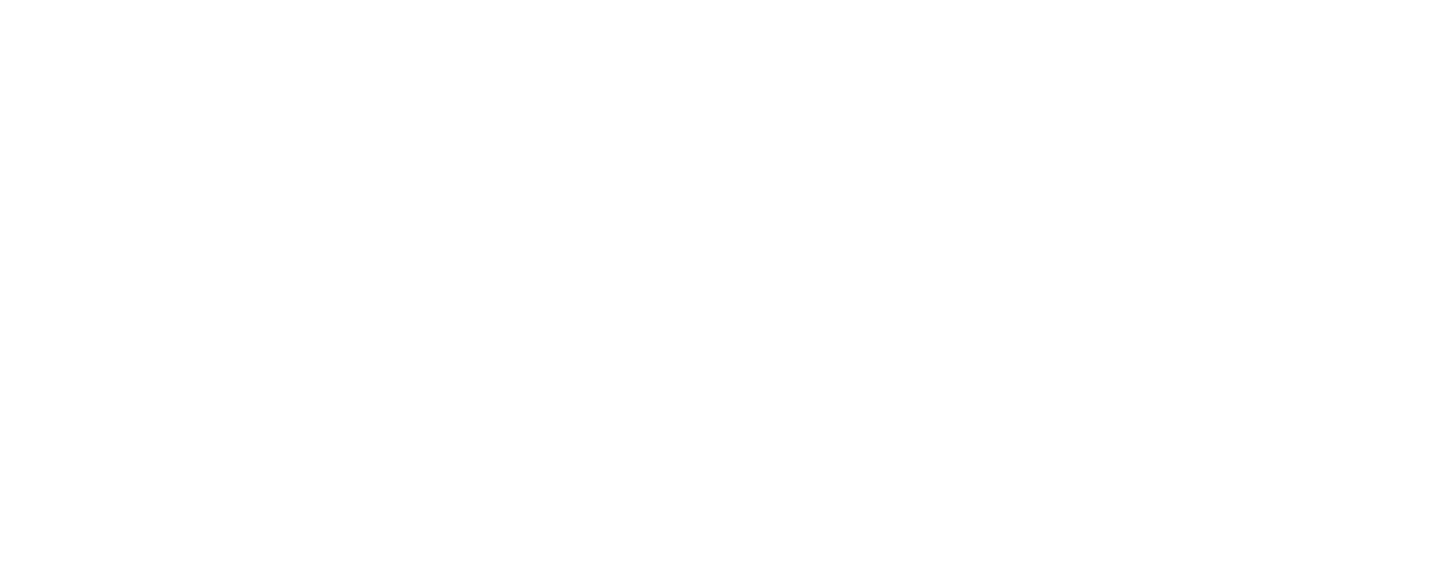 Impresa perfetta